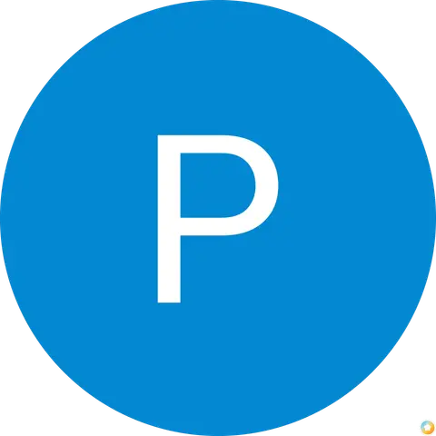 Pravin S