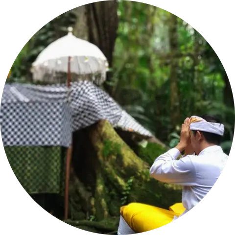 Widi Putra