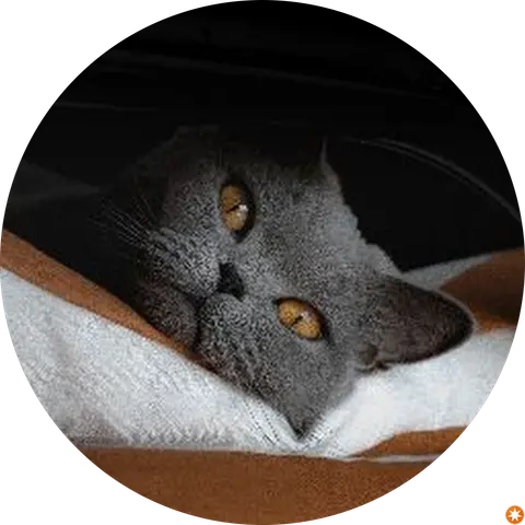Джеклик