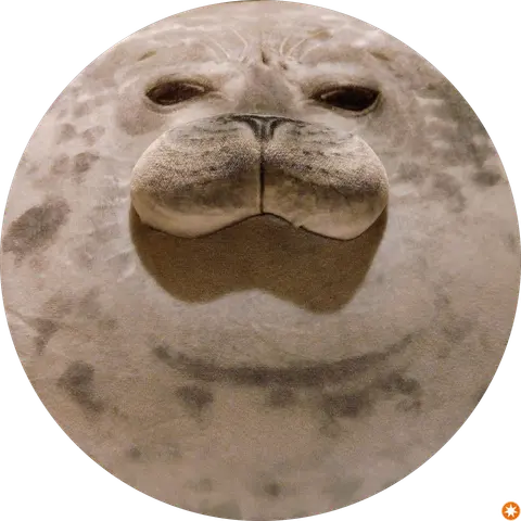 け
