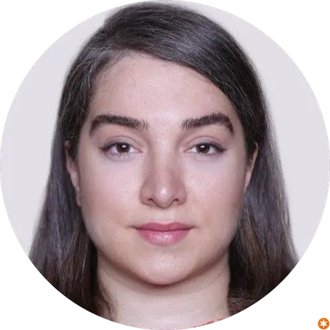 Mehrsa Parhami