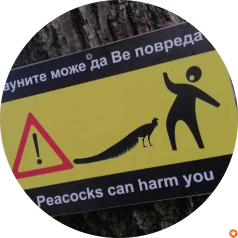 Viktor