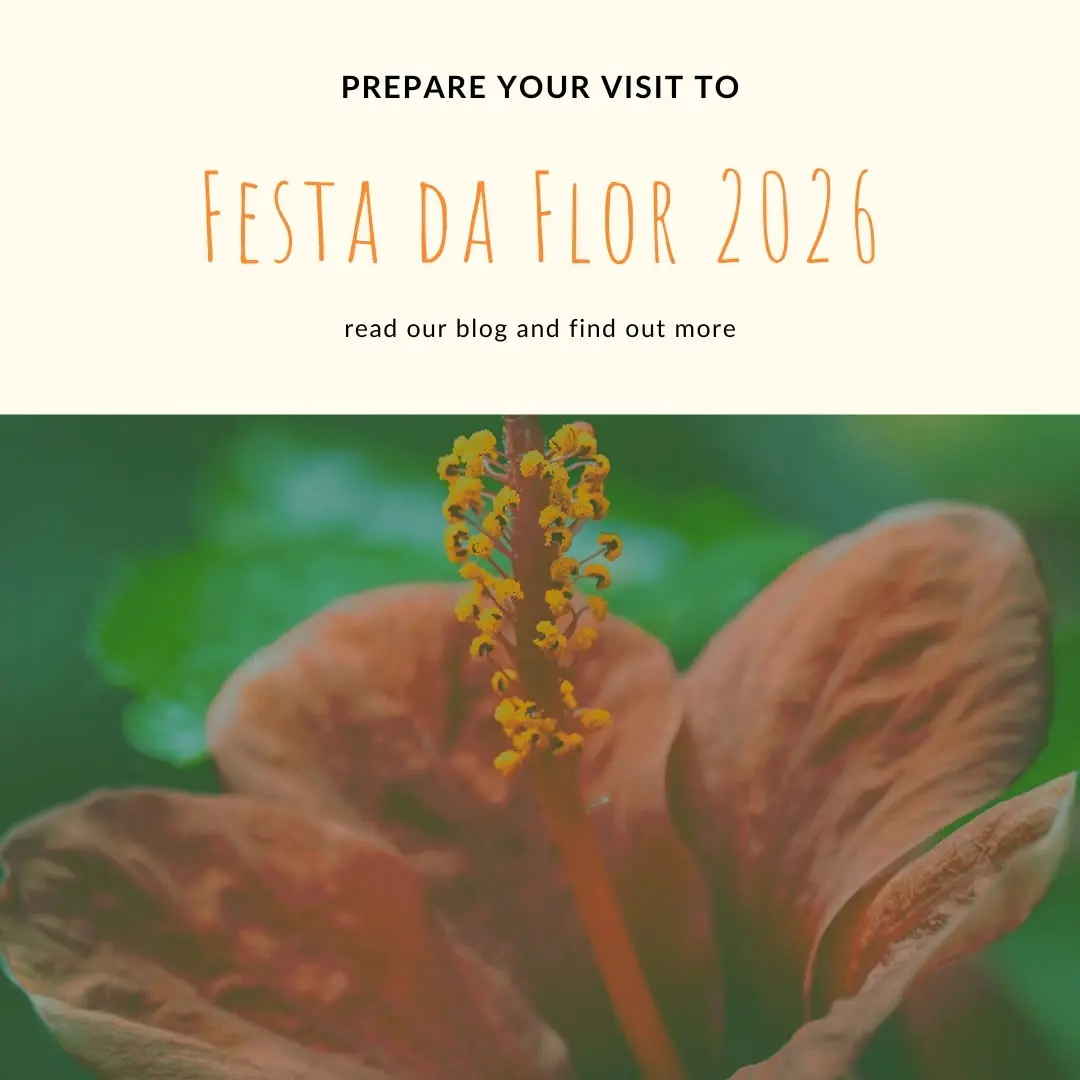 Bloom into your most inspiring work chapter yet! 🌸✨
In 2026, the Festa da Flor isn't just an event—it’s your new office 