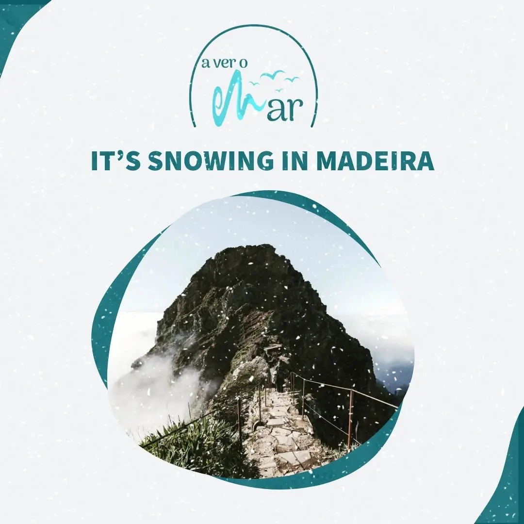 It is cold and white in the highest peaks! Visit our website and book your stay!