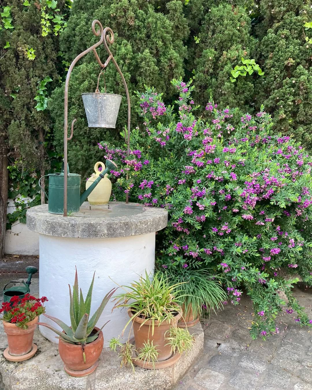 We love to work seeing the Well of our courtyard

🌿 www.addlivitum.com
#colivingaddlivitum #coworking #coliving #digital