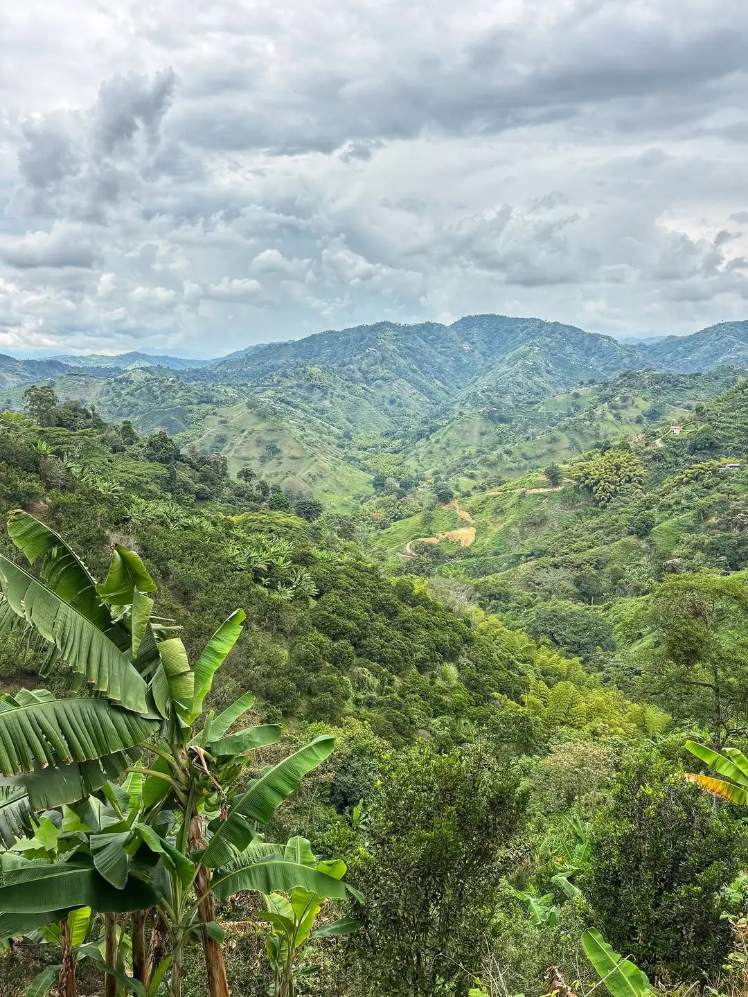 Aldea Sabatinga