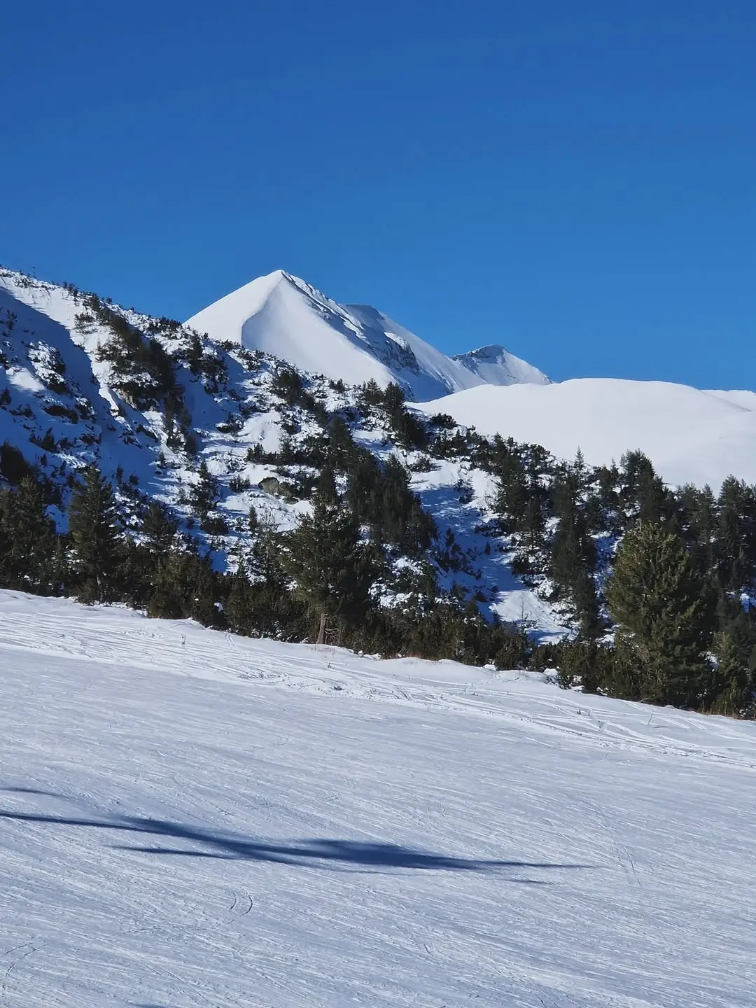 Definitely not the snowiest first day of the season, but still couldn’t miss it.
Grateful for the open slopes, sunny vie