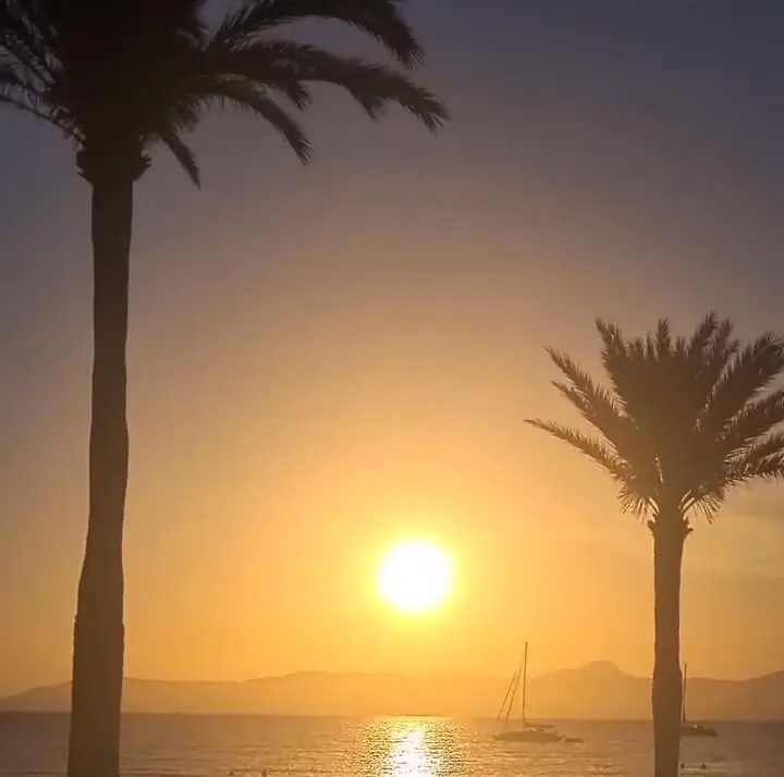 bedndesk - Coliving & Coworking in Mallorca photo 1