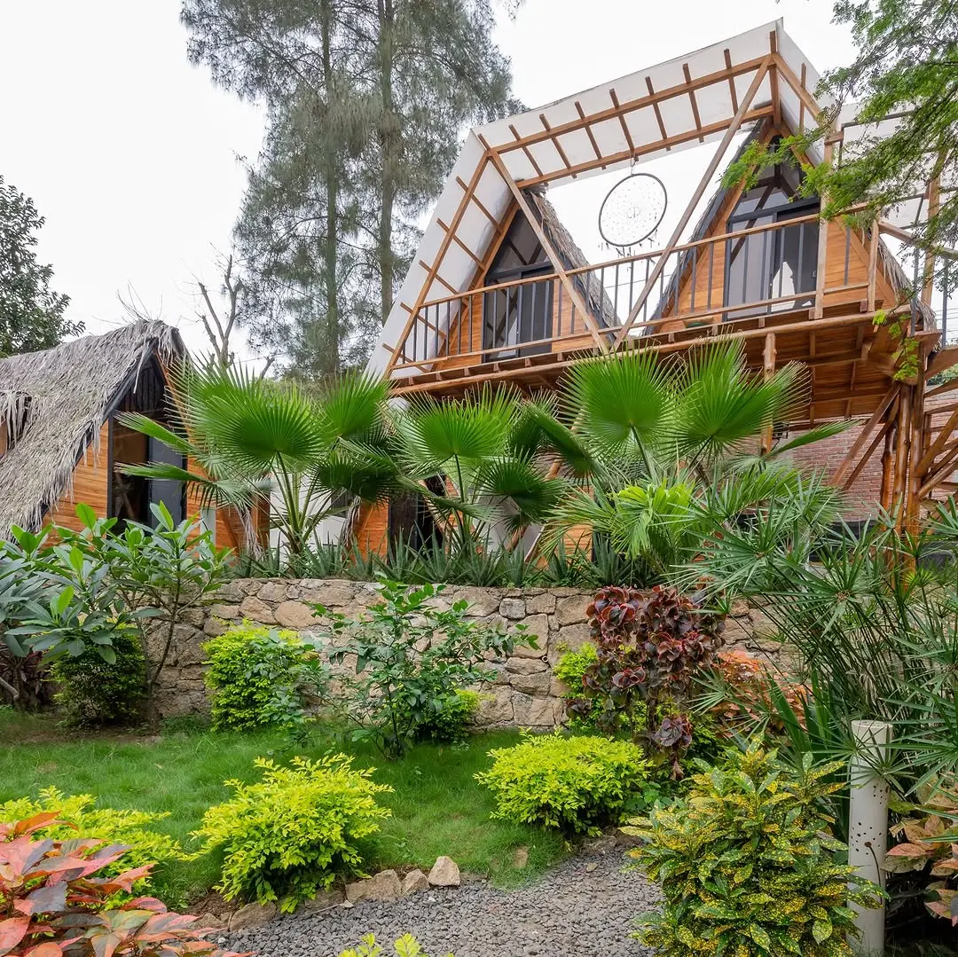 🏄‍♂️🧘‍♀️ Discover tranquility at our hostel in Montañita, Ecuador. Surrounded by lush greenery and captivating geometric