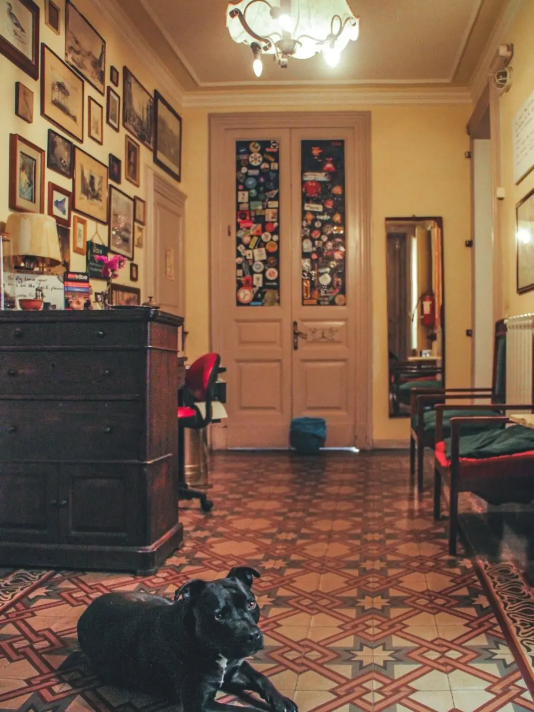 - Our common areas -

🌿 Why Casa Verdi? ___
For Residents and travelers alike @casaverdicatania offers a lifestyle that 