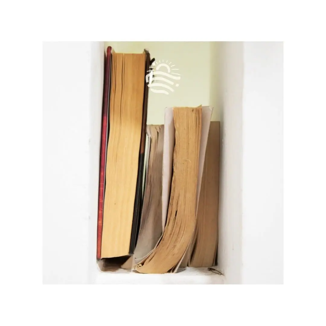 WE LIKE BIG BOOKS AND WE CANNOT LIE

At CLICS, we love how our guests are passionate about reading! To celebrate this, w