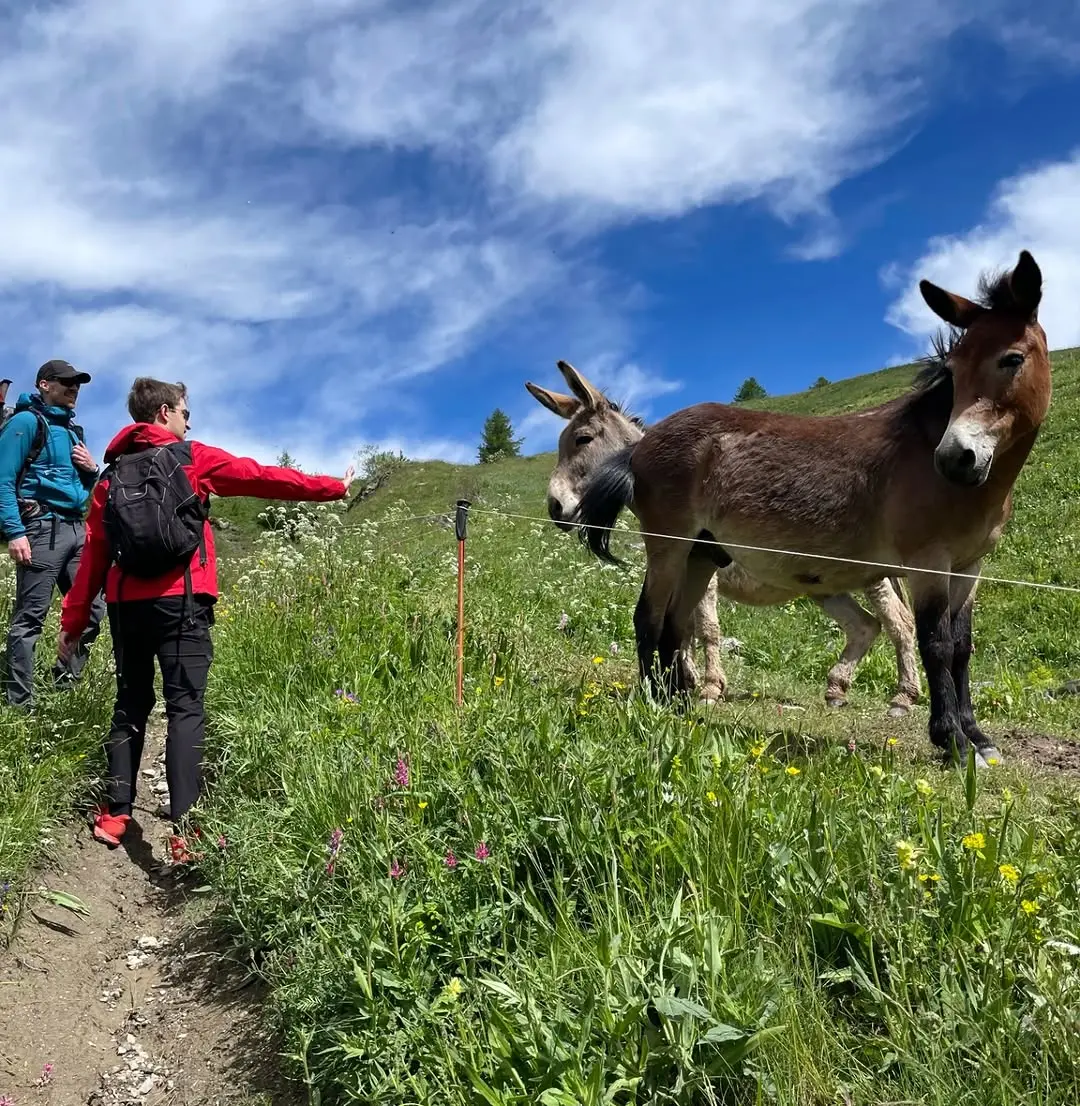 Just a couple of guys checking out some asses!
