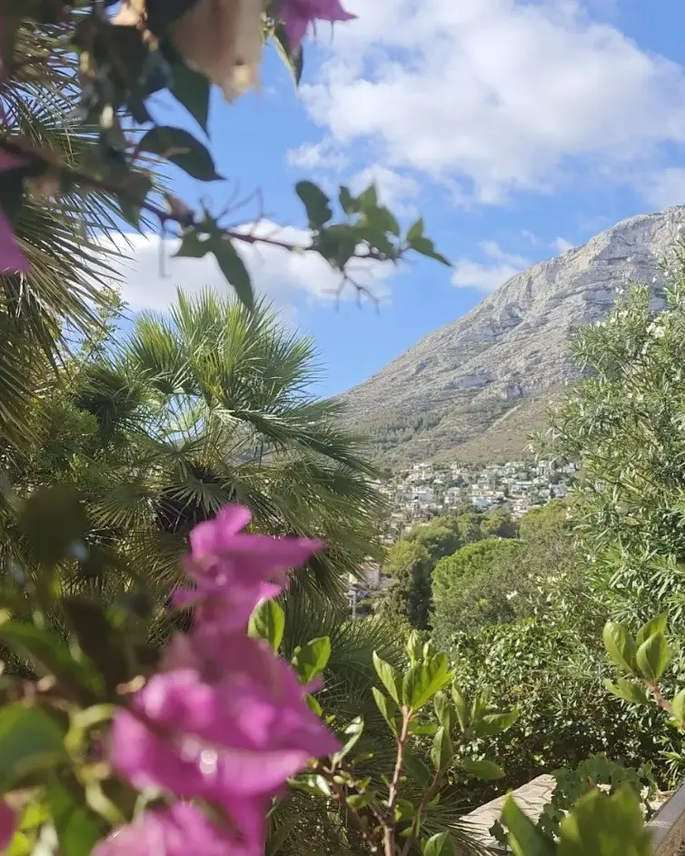 CO-Living & CO-Working Costa Blanca­ - NewWork Dénia S.L. photo 4