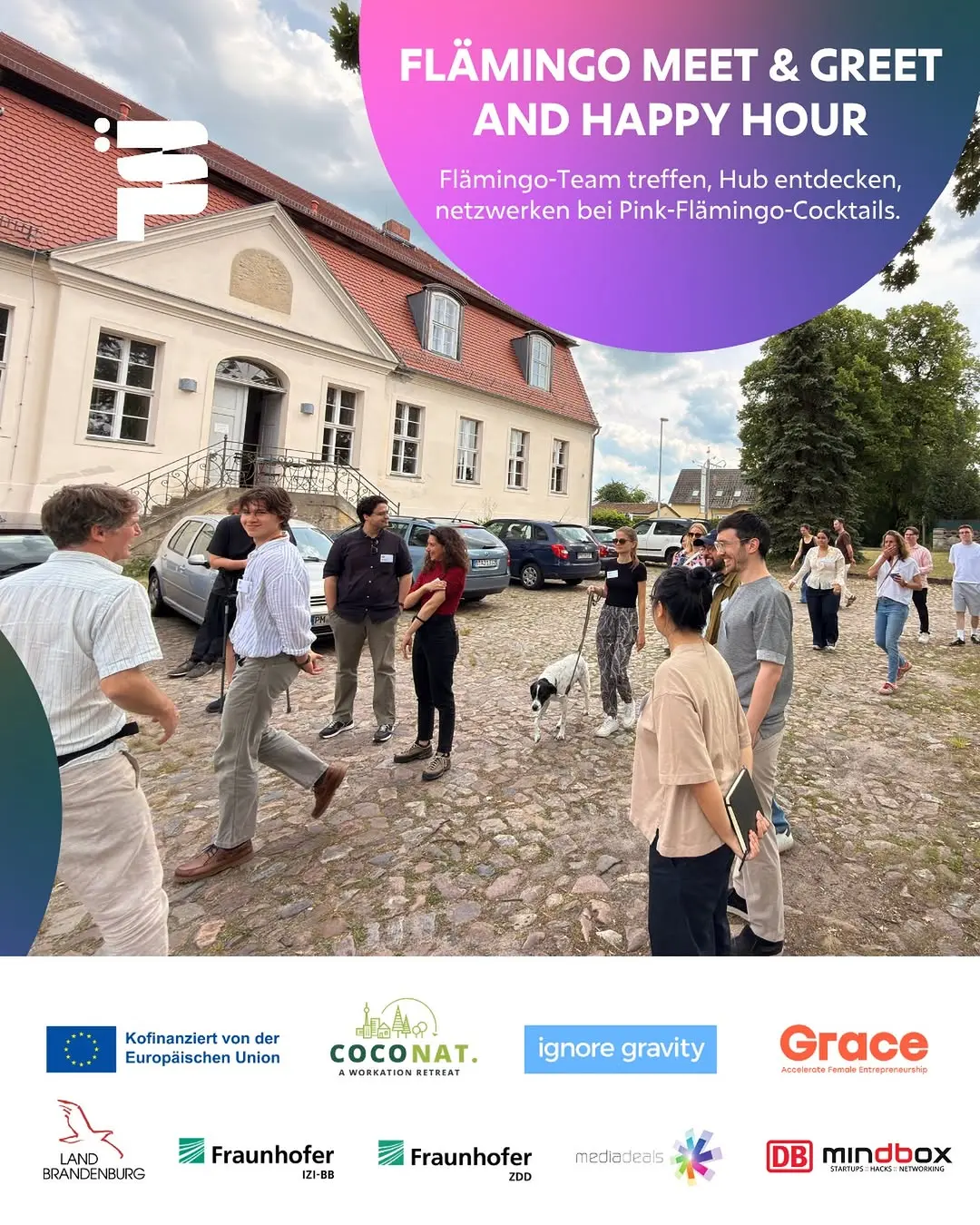 🦩 Startup Week Brandenburg bei Flämingo.

Lerne das Flämingo Startup Hub kennen und verbringe einen entspannten Sommerab