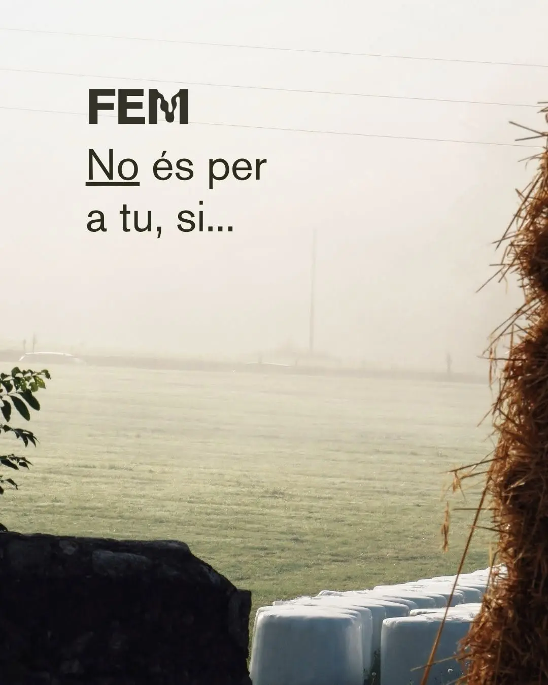 FEM no es para ti si…

1. Si buscas un lugar donde aislarte. Si no tienes ganas de compartir o no estás abierto a integr
