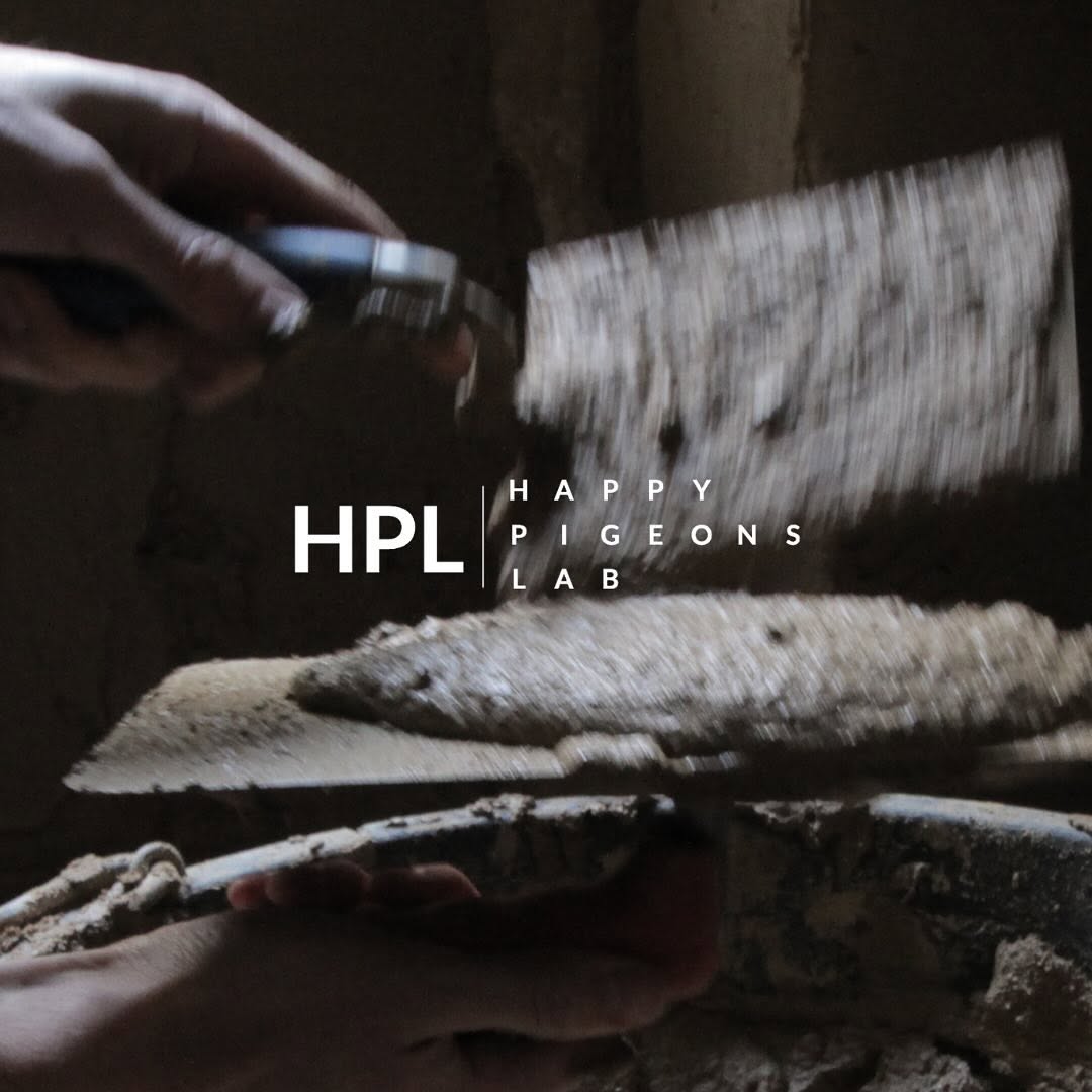 Happy Pigeons Lab - Housing solutions for a better world.
As part of our community-living project “Happy Pigeons”, 🐦we r