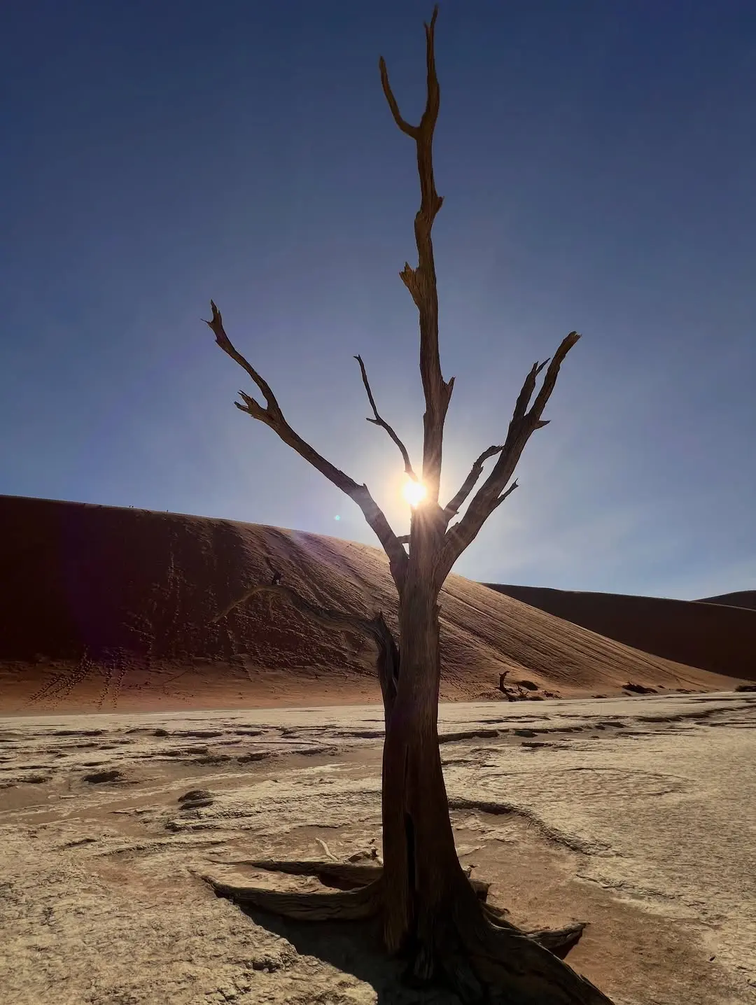 Getaway therapy in the Namib desert