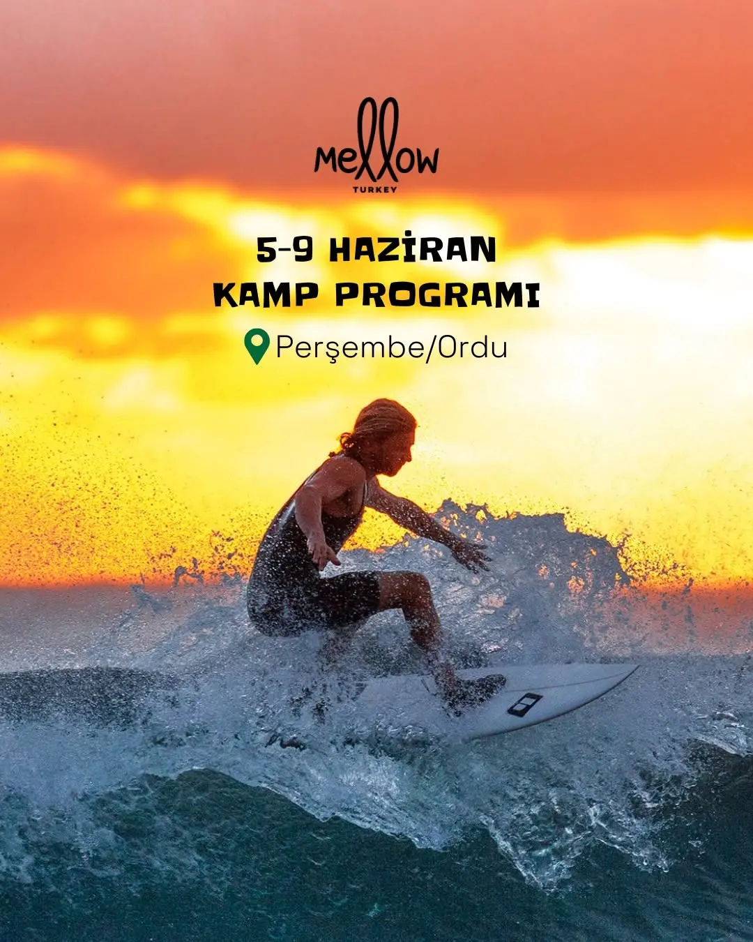 5–9 Haziran Mellow Ordu'dayız!

Bu kampta sörf var, tabu var, kahkaha var, dostluk var ve tabii ki yemekler efsane!

Gün
