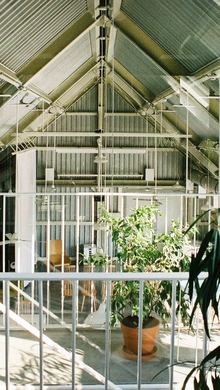 Mokrin House photo 3