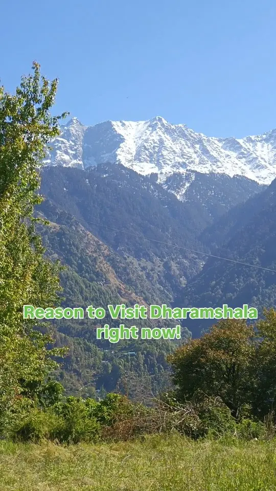 NomadGao Dharamkot - A Himalayan Digital Nomad Community photo 4