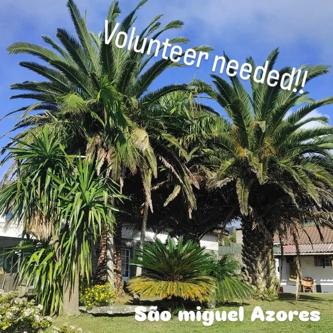 Novovento Coliving Azores