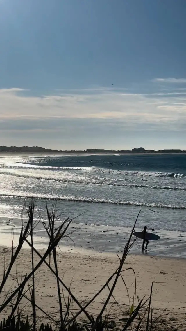 Pipedream portugal photo 6