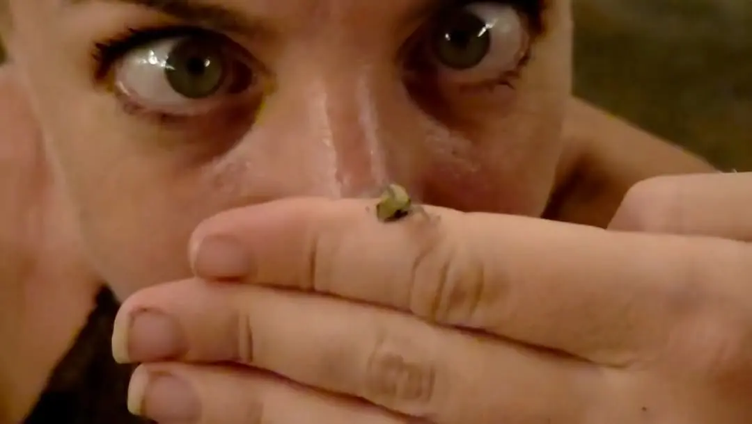 A tiny, fragile creature rests on the tip of her finger….barely a speck of life….while her wide, unblinking eyes gaze at