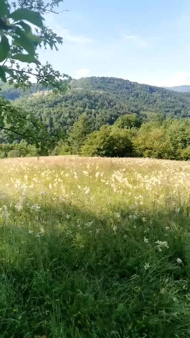 RisingSoul Retreat photo 8