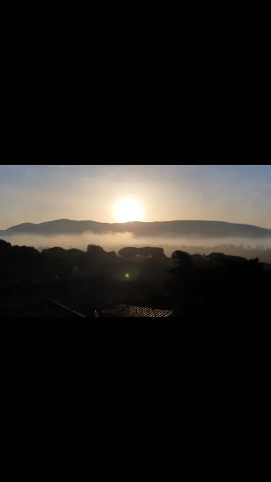 Quinta da Periquita photo 10