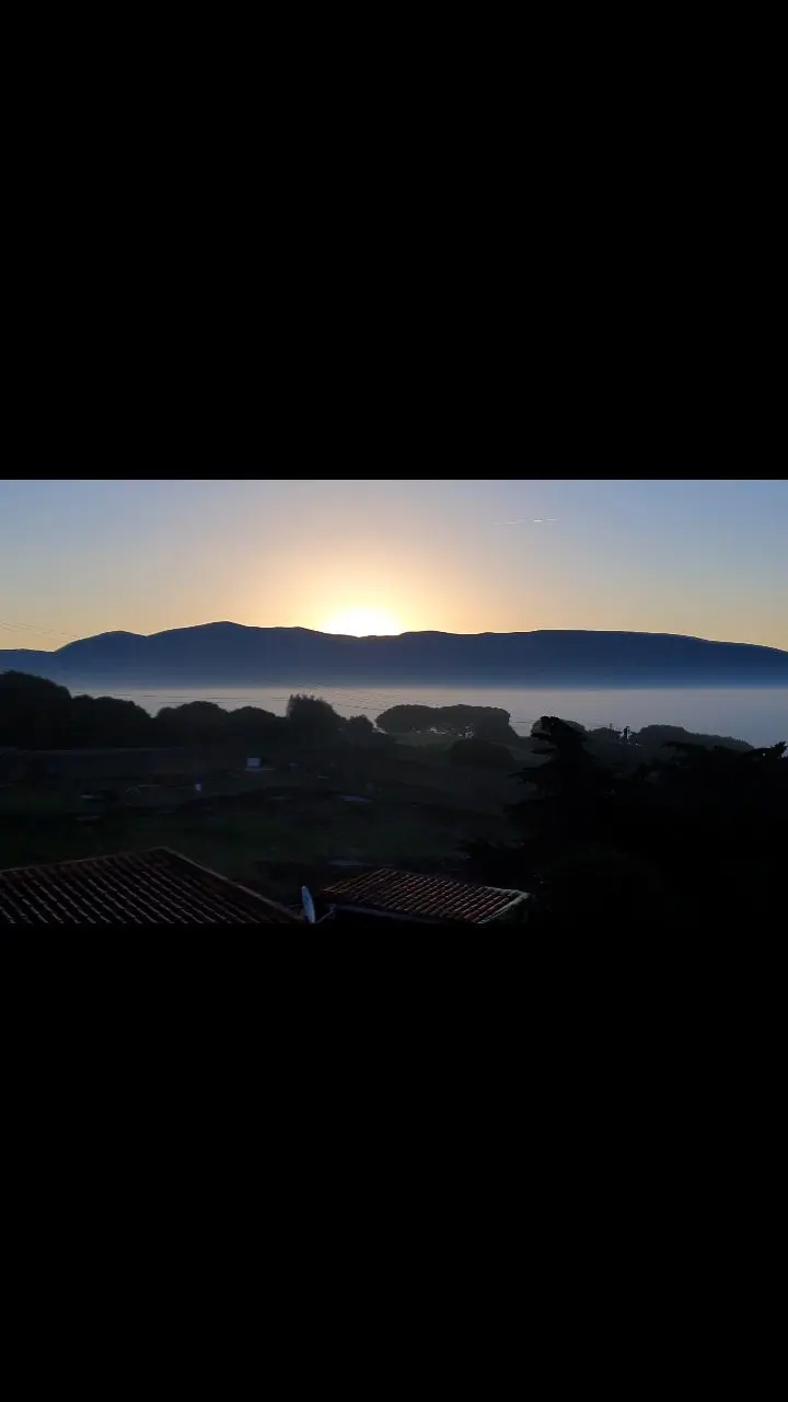 Quinta da Periquita photo 8