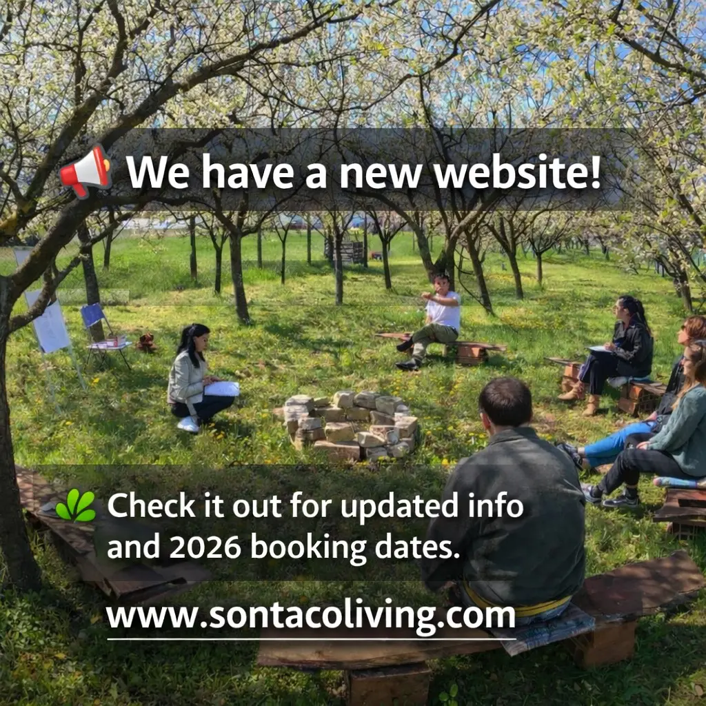 📢 New website is live!
Sonta Coliving has a fresh look and updated information — rooms, pricing, new stay options, and u
