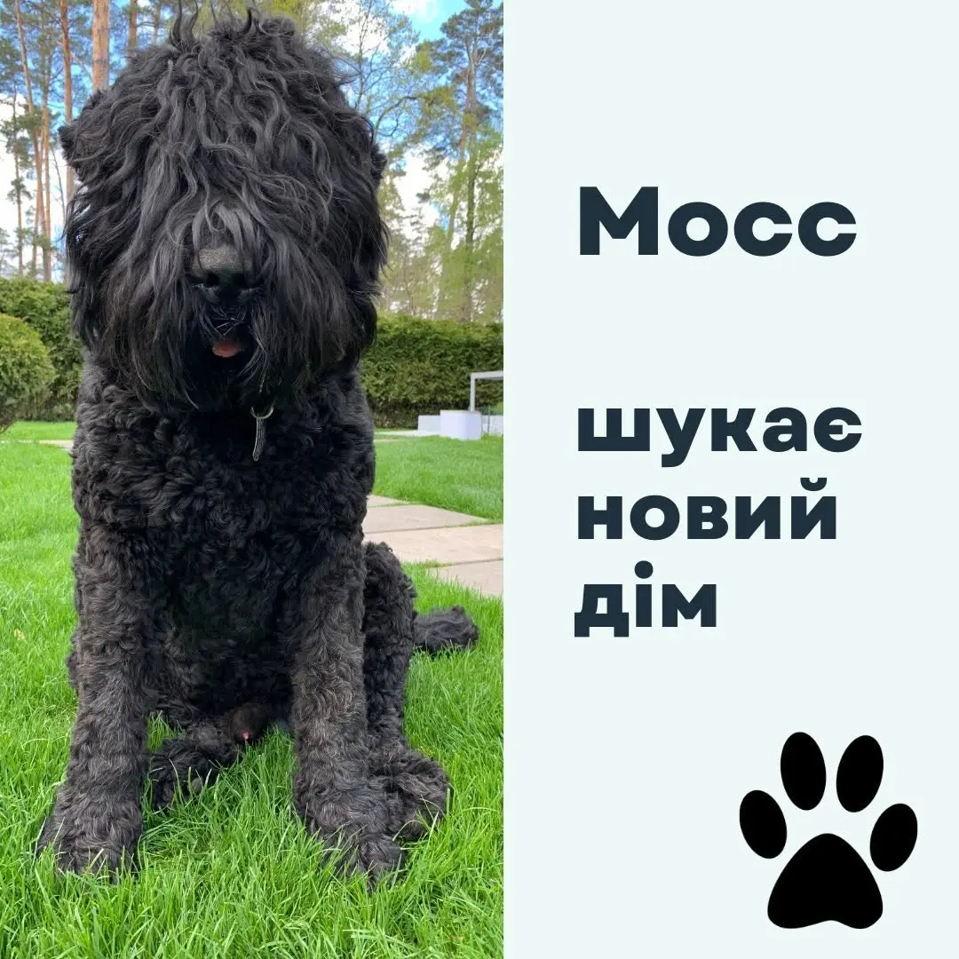Stockholm Studios