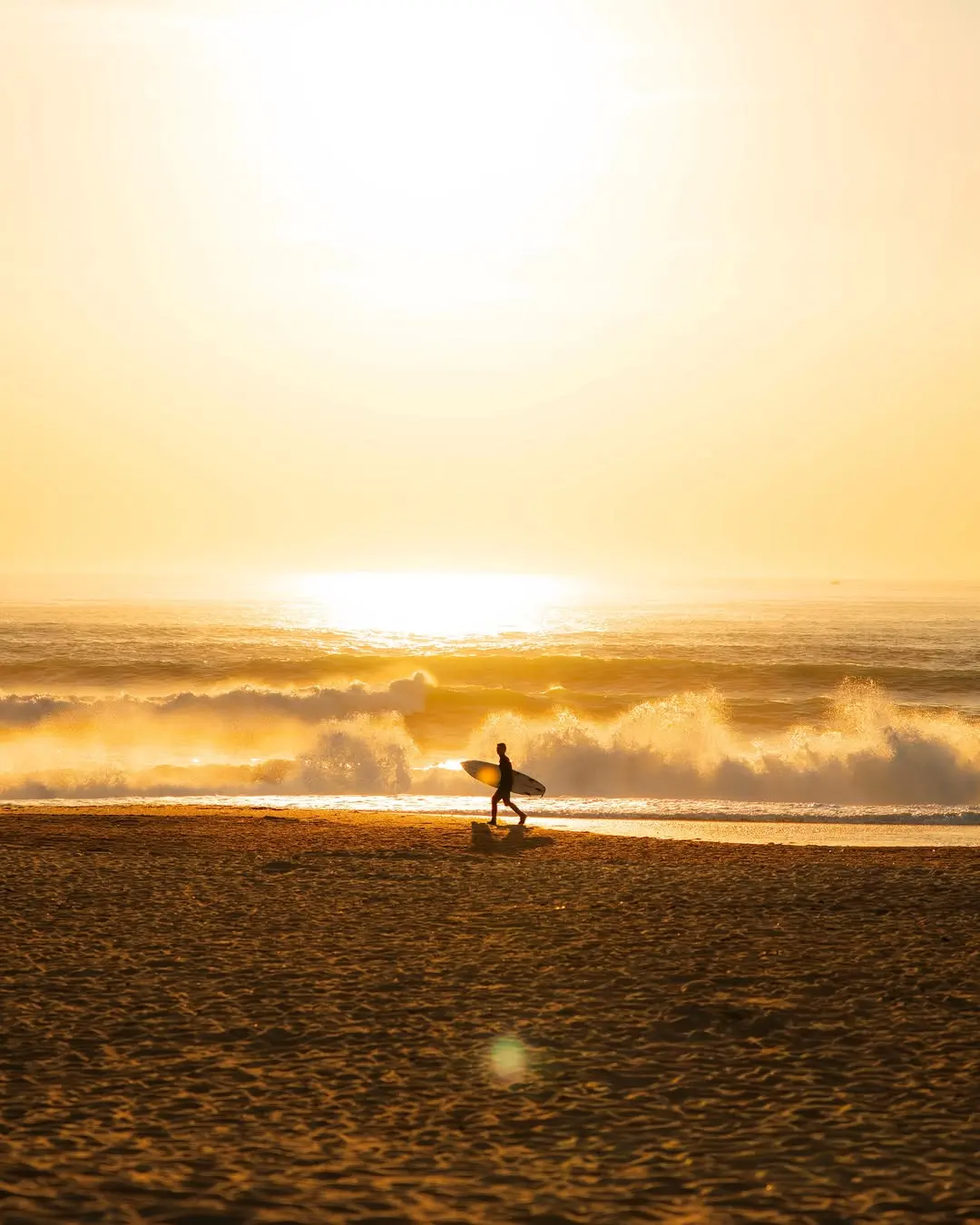 POV: You stayed for one more sunset. 🌅 🏄🏼

_________
#surflifestyle #surfphotographer #surfvacation #surftrip #fuerteven