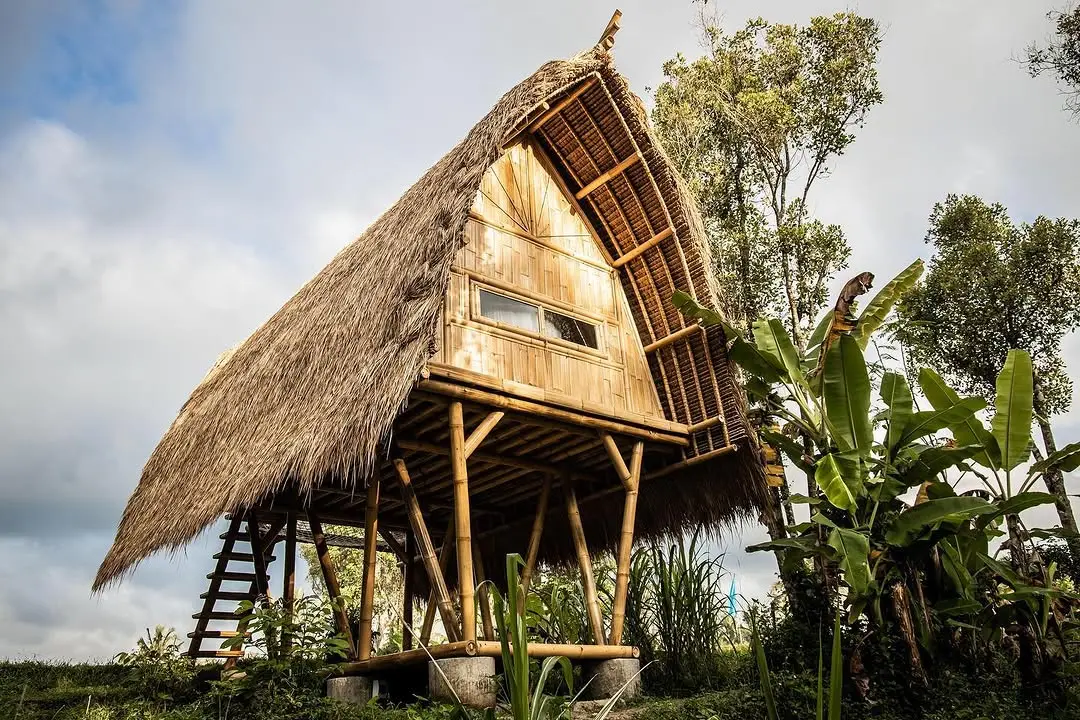 Sustainable building: 
At The NYX we build with bamboo because of 5 reasons. 
1. It is SUSTAINABLE: Bamboo thrives on ot
