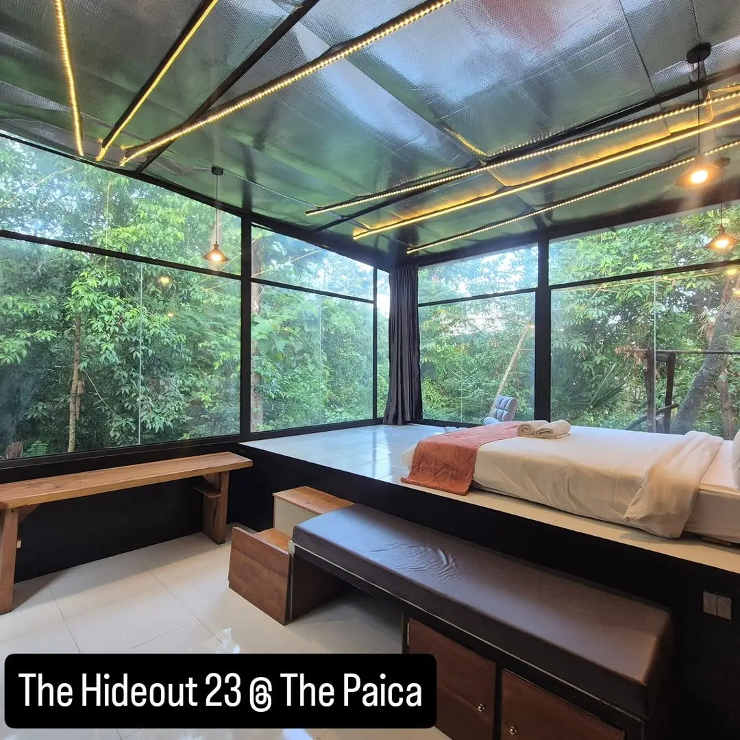 The Paica Hotel Instagram post
