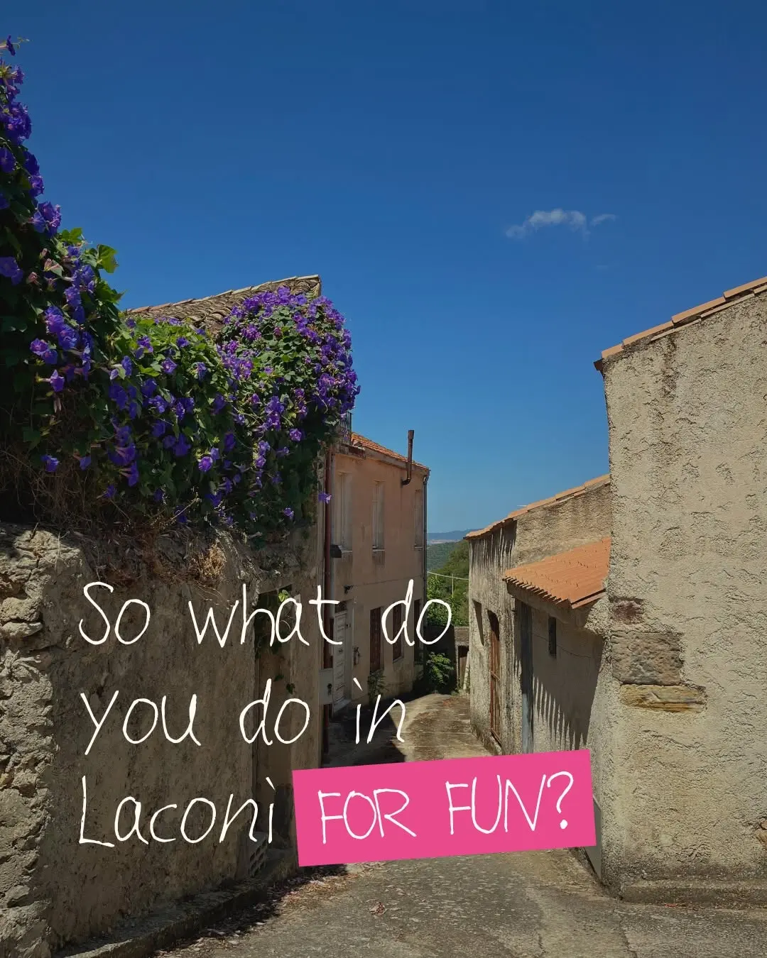Someone staying with us once asked what we do in Laconi for fun. We laughed, then answered for real: that's exactly why 